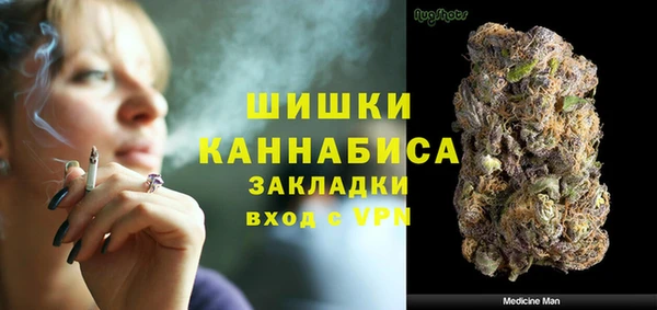 сатива Аркадак