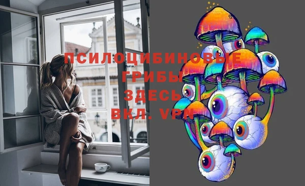 эйфоретик Алексеевка