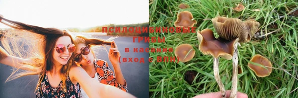 эйфоретик Алексеевка
