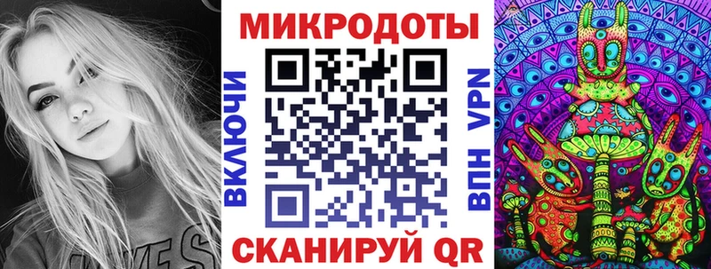 наркота  Лобня  Псилоцибиновые грибы Psilocybine cubensis 