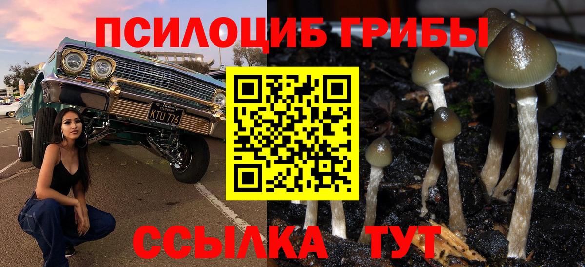 Галлюциногенные грибы мицелий  наркошоп  Лобня  Вход с VPN  Псилоцибиновые грибы Psilocybe 